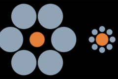 ebbinghaus-False-1
