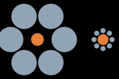 ebbinghaus-False-2