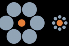 ebbinghaus-False-3