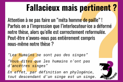 Fiches-fallacies-14