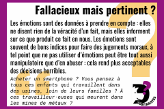 Fiches-fallacies-28