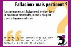 Fiches-fallacies-40