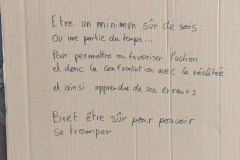 Perle-11
