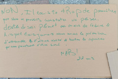 Perle-6
