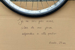 Perle-8